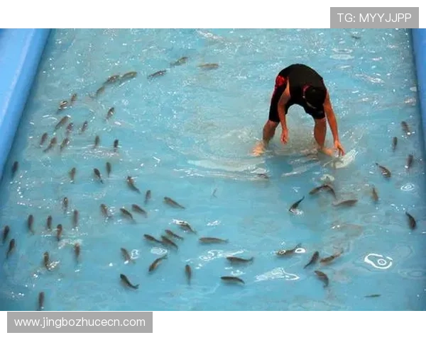 亚博捕鱼：如何选择最优捕鱼策略提升你的胜率和收益