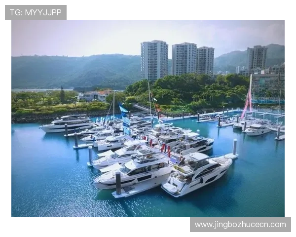 探索206游艇会的豪华设施与独特会员权益，打造专属的海上休闲度假新体验