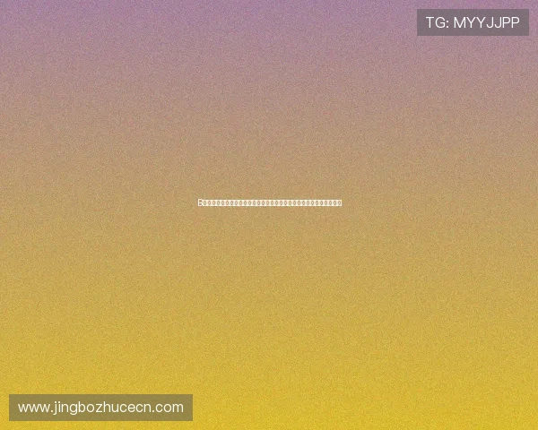 B体育集团娱乐平台的客户服务与技术支持，确保玩家无忧体验游戏乐趣